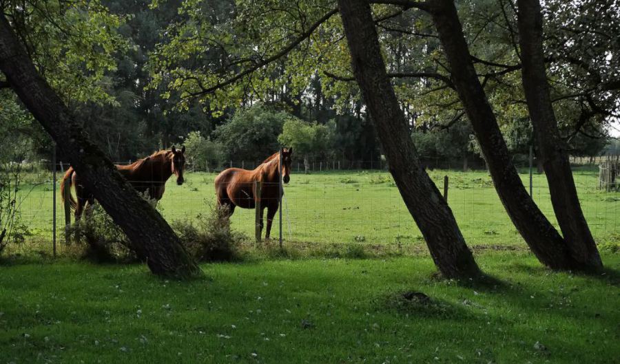 Chambre d'hôtes La Métairie Cysoing