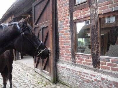 Pension de chevaux La Métairie