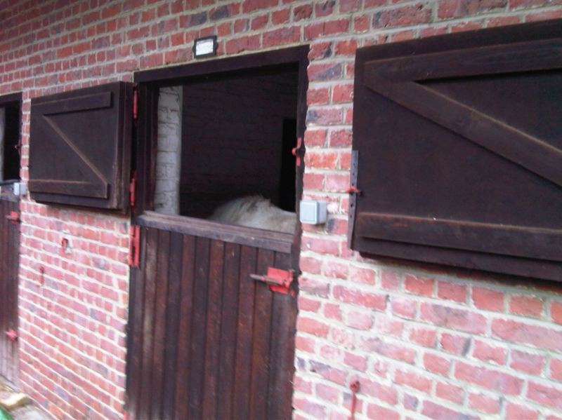 Pension de chevaux La Métairie